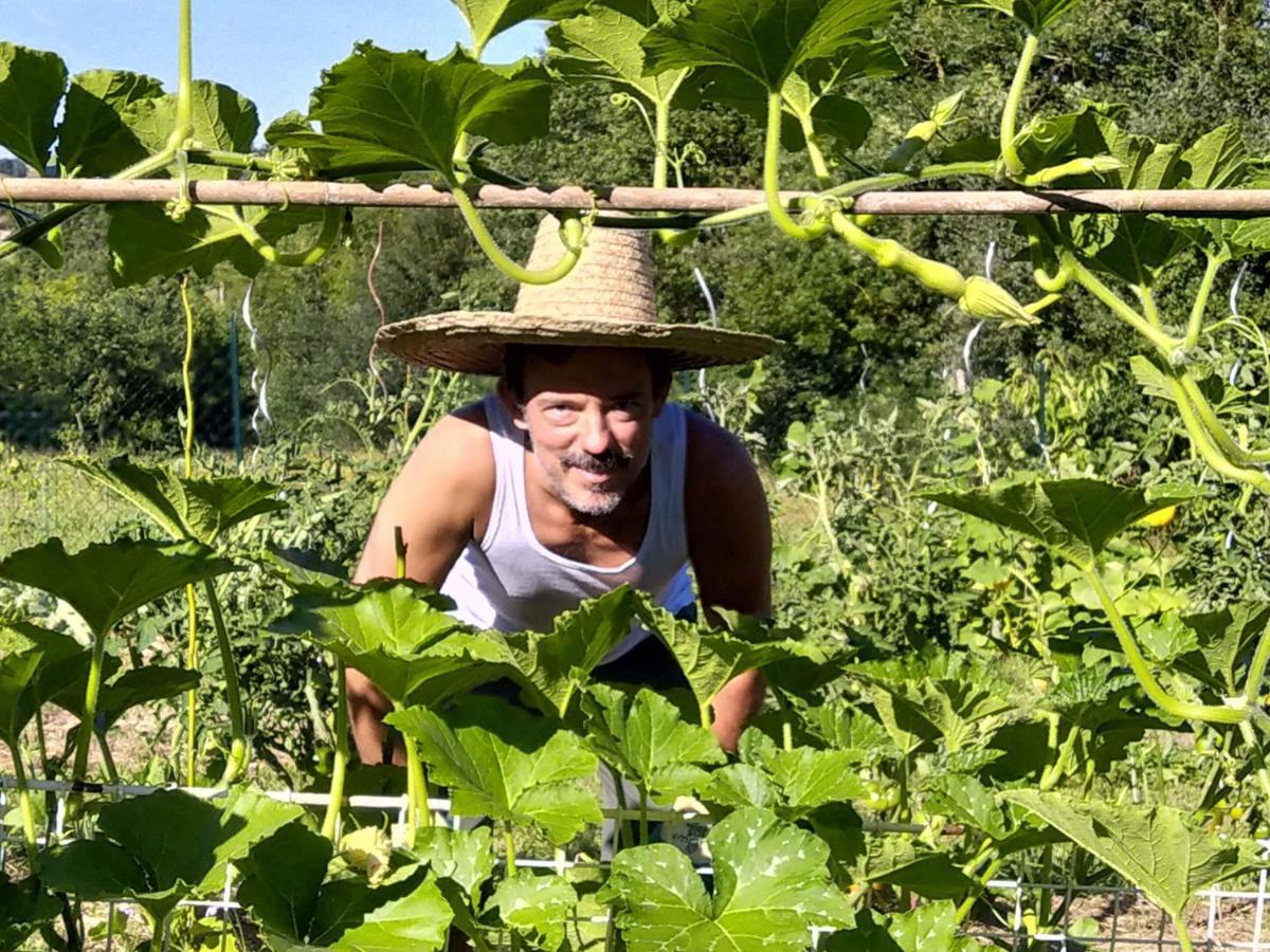 Les Gites De Campardon Monties Exteriör bild